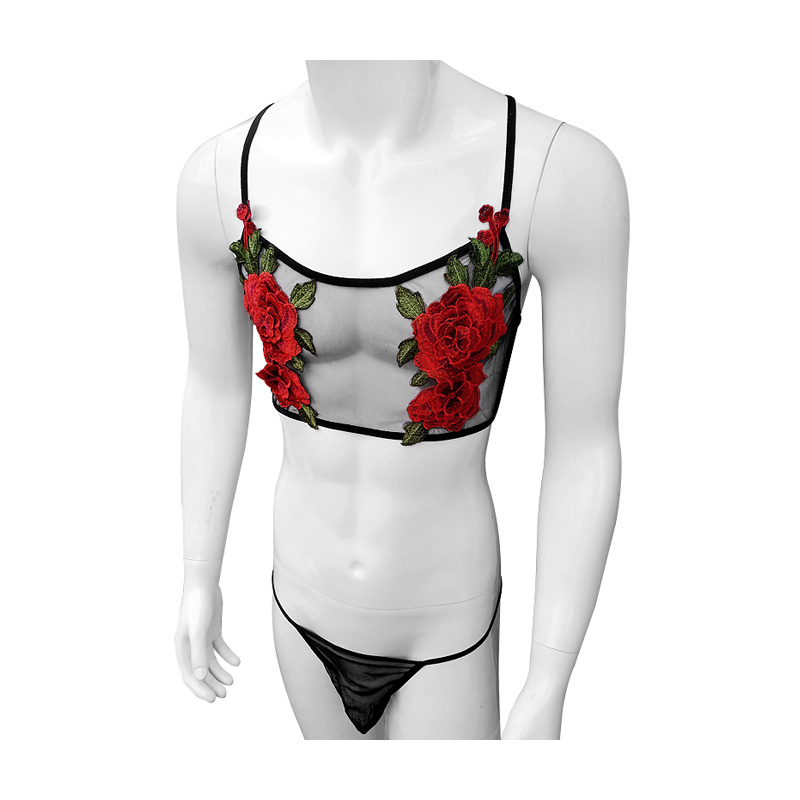 Sheer Mesh Bra - Conjunto de lencería de encaje de