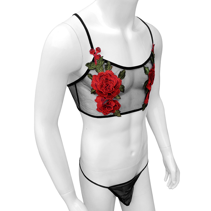 Conjunto de lencería de encaje - Sheer Mesh Bra reseña y precio